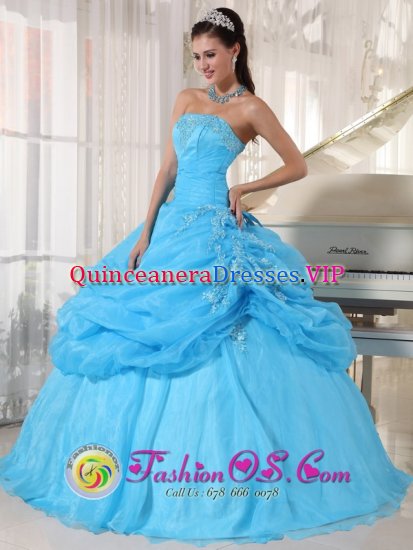 Independence Virginia/VA Lovely Baby Blue Strapless Organza Floor-length Ball Gown Appliques Quinceanera Dress with Pick-ups - Click Image to Close