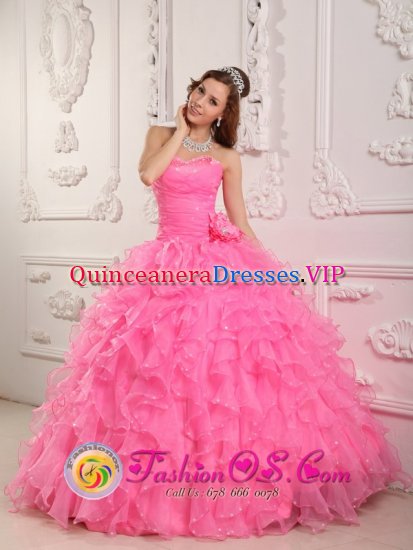 Westford Vermont/VT Romantic Sweetheart Rose Pink Organza Beading Ball Gown Quinceanera For Formal Evening - Click Image to Close