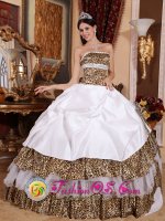 Utica Nebraska/NE Beading Decorate Bodice Informal White Quinceanera Dress Strapless and sexy Leopard Ball Gown(SKU QDZY437-ABIZ)