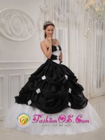 Port Washington Wisconsin/WI Customize Black and White Pick-ups Quinceanera Dresses With Beading Taffeta and Tulle gown(SKU QDZY413-HBIZ)