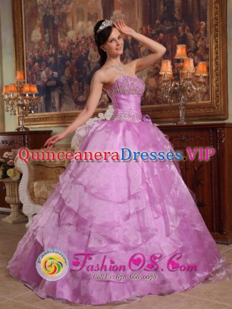 Lavender Strapless Floor-length Organza Beading Ruffled Quinceanera Dress For Auburn New York/NY