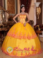 Classical Yellow Quinceanera Dress With Organza and romantic Lace Appliques Decorate In Cookhouse South Africa(SKU QDZY431y-6BIZ)