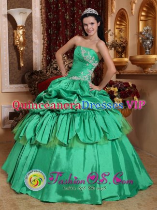 Argyle TX Appliques and Pick-ups For Low Price Apple Green Stylish Christmas Party Dresses