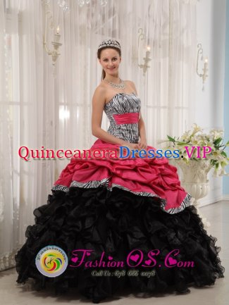 Gorgeous Zebra and Taffeta and Organza Beading and Pick-ups Colorful Ball Gown For Pescadero CA Quinceanera Dress