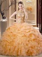 Superior Ball Gowns Quinceanera Gown Orange Scoop Organza Sleeveless Floor Length Lace Up(SKU SJQDDT2065002-6BIZ)