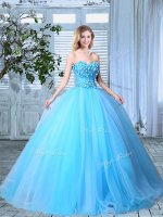 Floor Length Baby Blue Quinceanera Gown Organza Sleeveless Appliques