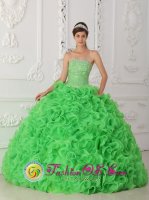 Mold Clwyd Beautiful Rolling Flowers Green Quinceanera Dress For Strapless Organza With Beading Ball Gown