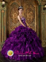 Hazel Green Alabama/AL Pretty Eggplant Purple Appliques and Ruffles Decorate Bodice Quinceanera Dress For Strapless Organza Ball Gown