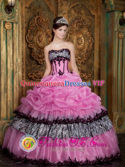 Cerdanyola Spain Elegant Zebra and Organza Picks-Up Rose Pink Quinceanera Dress Wear For Sweet 16 - Click Image to Close