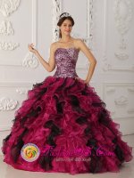 Stylish Multi-color Leopard and Organza Ruffles Galashiels Borders Quinceanera Dress With Sweetheart Neckline(SKU QDZY009y-6BIZ)