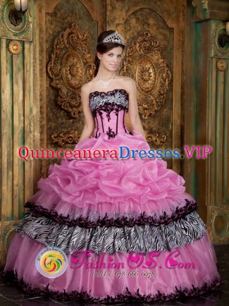 Elegant Zebra and Organza Picks-Up Rose Pink Quinceanera Dress Wear For Sweet 16 In Welches Oregon/OR