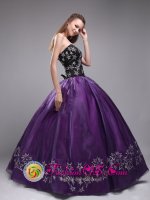 Embroidery Sweetheart Orangza Stylish Eggplant Purple Quinceanera Dresses In South Carolina