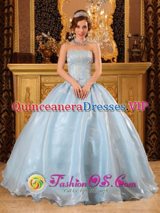 Blowing Rock Carolina/NC Wheeling Romantic Baby Blue Quinceanera Dress Strapless Organza Exquisite Beading Appliques Ball Gown