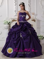 Wear The Super Hot Purple Exquisite Appliques Decorate Quinceanera Dress In Villa Altagracia Dominican Republic Quinceanera(SKU QDZY610y-3BIZ)