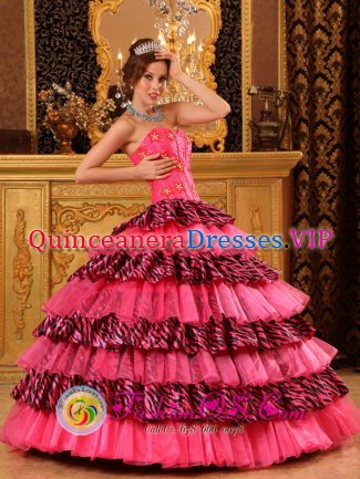 Hazlet New Jersey/ NJ Organza and Zebra Layers Hot Pink Quinceanera Dress With Sweetheart and Beading Decorate Ball Gown