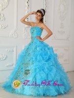 Strapless Floor-length Aque Blue Ruffles Kingman AZ Surprise Quinceanera Dresses With Appliques For Sweet 16(SKU QDZY295y-6BIZ)