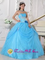 Consuelo Dominican Republic Fashionable Aqua Blue Quinceanera Dress With Strapless Neckline Flowers Decorate On Organza(SKU QDZY556y-3BIZ)