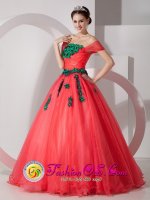 Bath Maine/ME Pretty Off-the-shoulder Organza Quinceanera Dress With Hand Made Flowers Custom Made