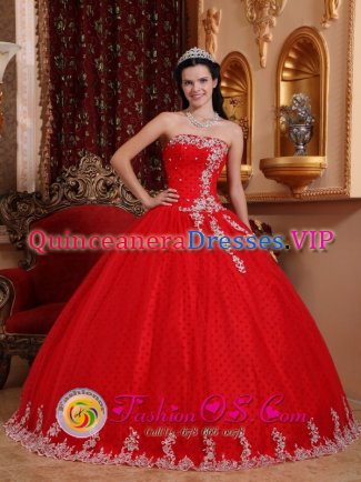 Glen Ellyn Illinois/IL Strapless Tulle Lace Appliques Inspired Red Quinceanera Dress