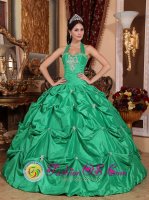 Casper Wyoming/WY Exclusive Apple Green Halter Top Pick ups Sweet 16 Dress With Taffeta Appliques Sweet Ball Gown(SKU QDZY583-DBIZ)