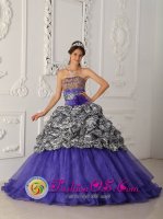 Brand New Custom Made Zebra and Organza Purple Quinceanera Dress For Strapless Chapel Train Ball Gown In Shepparton VIC