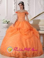 Chic Orange Stylish Quinceanera Dress With Off The Shoulder In California(SKU QDZY575y-7BIZ)