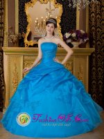 Chugiak Alaska/AK Simple Sky Blue Strapless Appliques Organza Quinceanera Dress