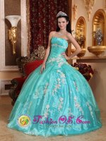 Stevensville Montana/MT Stylish Appliques Quinceanera Dress Strapless Turqoise Organza Ball Gown