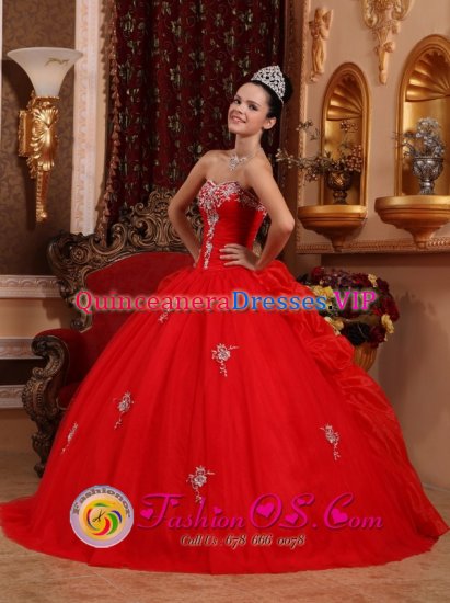 Blanco TX Stylish Wholesale Fushia Sweetheart Appliques Decorate Quinceanera Dresses Party Style - Click Image to Close