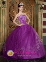 Arlington TX Beautiful Purple Tempe Quinceanera Dress Appliques Sweetheart Strapless Tulle Ball Gown