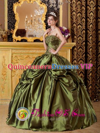 Sandhurst Berkshire Brand New Olive Green Quinceanera Dress Clearrance With Taffeta Appliques And Pick-ups Decorate