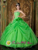 Yankton South Dakota/SD Spring Green Hand Made Flowers Appliques Decorate Fabulous Quinceanera Dress With Floor-length Organza