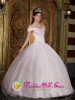 Middlebury Vermont/VT Organza Modest Light Pink Organza and Satin Quinceanera Dress With Off The Shoulder Neckline Appliques Decorate