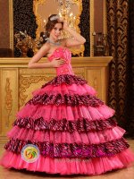 Meridian Idaho/ID Organza and Zebra Layers Hot Pink Quinceanera Dress With Sweetheart and Beading Decorate Ball Gown(SKU QDZY013-ABIZ)