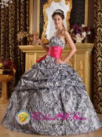 A-line Zebra Sash Sweetheart Ball Gown Quinceanera Dreaaea With Pickups Floor length in Flower Texas/TX