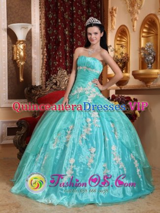 Stevensville Montana/MT Stylish Appliques Quinceanera Dress Strapless Turqoise Organza Ball Gown