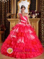 Colorful Hand Made Flowers Decorate One Shoulder and Ruffles Layered For Ball Gown Quinceanera Dress in Rio Grande Argentina