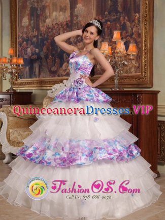 Edina Minnesota/MN Exquisite Hand Made Flowers Elegant Quinceanera Dress For Straps Organza and Printing Ball Gown