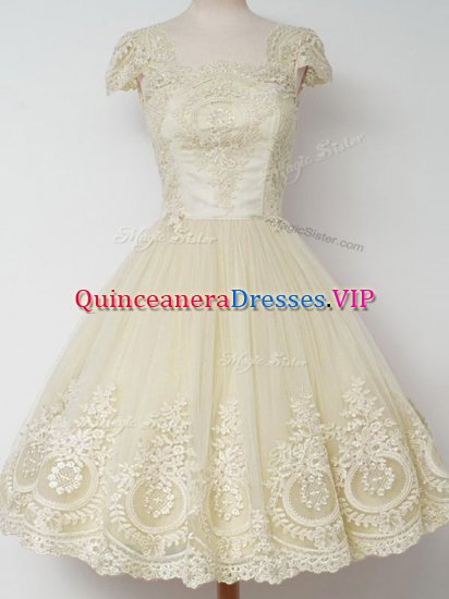 Tulle Square Cap Sleeves Zipper Lace Quinceanera Dama Dress in Light Yellow - Click Image to Close