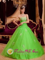 Beebe Arkansas/AR Spring Green Princess Appliques Decorate Organza Ruching Quinceanera Dress(SKU QDZY079-JBIZ)