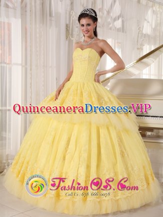 Greeneville Tennessee/TN Organza and Tulle Light Yellow Sweetheart Lace Decorate Luxurious floor length Quinceaners Dress