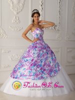 Elegent A-line Printing and Tulle Vintage Multi-color Quinceanera Dress For Sweetheart Appliques