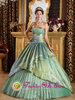 Aanekoski Finland Appliques Discount Olive Green Quinceanera Dress Strapless Ruched Bodice Taffeta and Organza Ball Gown