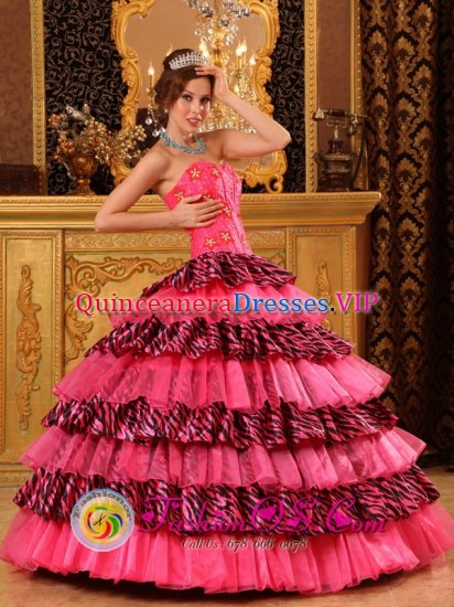 Hazlet New Jersey/ NJ Organza and Zebra Layers Hot Pink Quinceanera Dress With Sweetheart and Beading Decorate Ball Gown - Click Image to Close