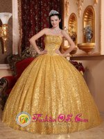 Priest Lake Idaho/ID Gold Ball Gown and Appliques Decorate Bodice For Quinceanera Dress by Paillette Over Skirt(SKU QDZY045-ABIZ)