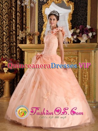 Biarritz France Fabulous One Shoulder Hand Made Flowers Sweet 16 Dress With Appliques and Pick-ups In South Carolina