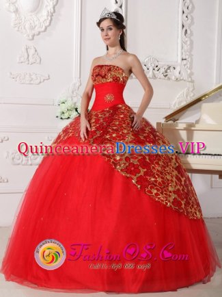 Rosendale NY Lace Appliques Decorate Inexpensive Red Quinceanera Dress With Tulle Custom Made