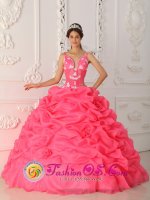 Sexy Watermelon Quinceanera Dress With Appliques Decorate Straps And Bodice In Ajo AZ　(SKU QDZY309y-7BIZ)