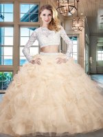 Stylish Scoop Long Sleeves Zipper Quinceanera Gowns Champagne Organza