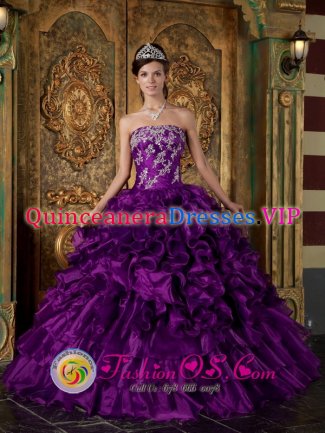 Padron Spain Pretty Eggplant Purple Appliques and Ruffles Decorate Bodice Quinceanera Dress For Strapless Organza Ball Gown